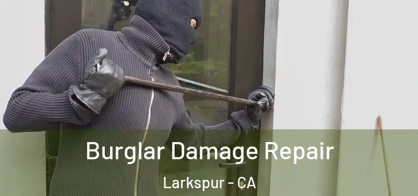  Burglar Damage Repair Larkspur - CA