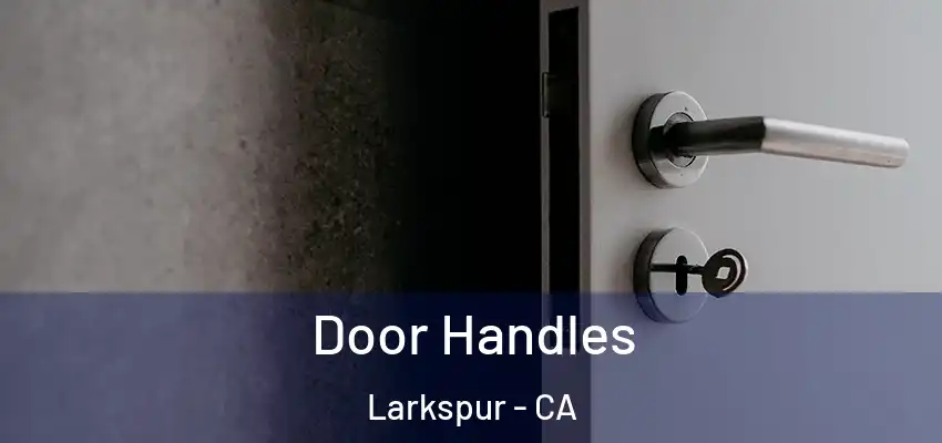  Door Handles Larkspur - CA
