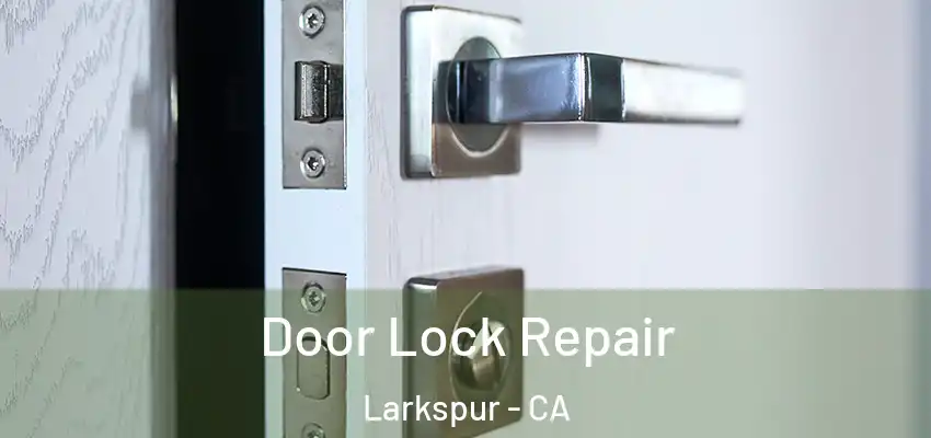 Door Lock Repair Larkspur - CA