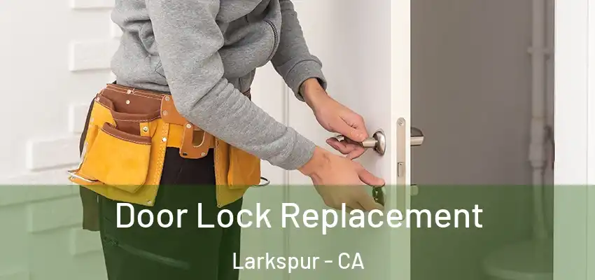  Door Lock Replacement Larkspur - CA
