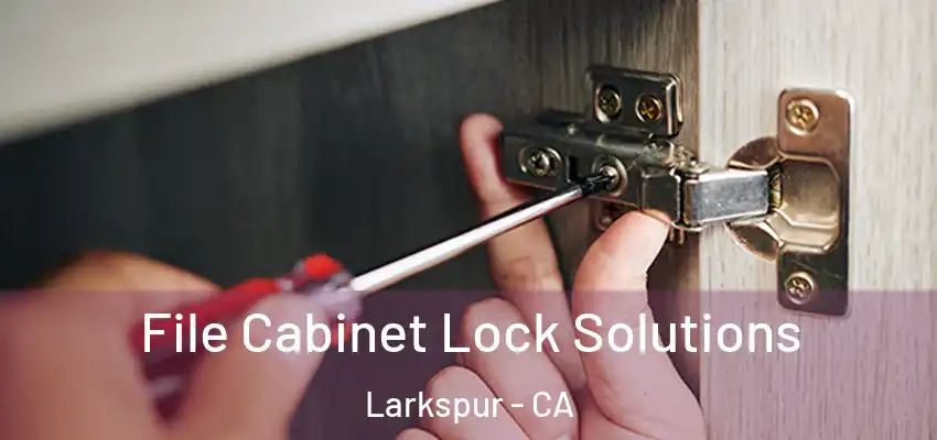  File Cabinet Lock Solutions Larkspur - CA