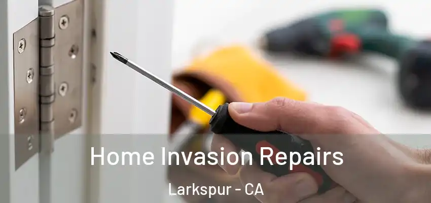  Home Invasion Repairs Larkspur - CA