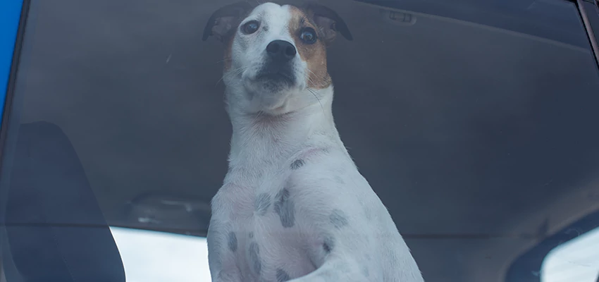 Car Lockout Solutions in Larkspur, California