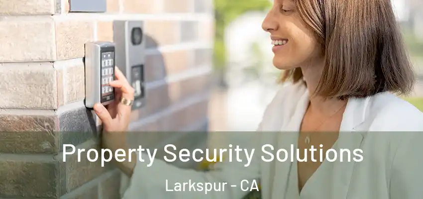 Property Security Solutions Larkspur - CA